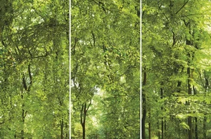 Декоративный элемент FMG Active Comp. (3Pcs 300X150) Y4UP00D453006 300x450 матовый