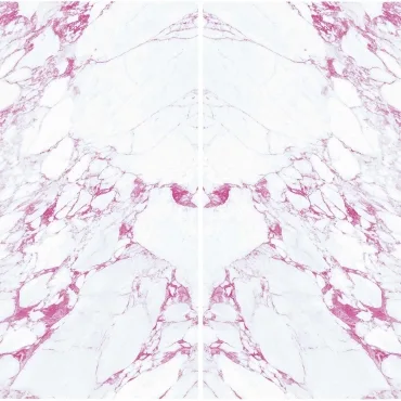 Декоративный элемент FMG Butterfly Comp. (2Pcs 300X150) Y4VN00D330006 300x300 матовый