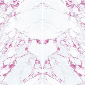 Декоративный элемент FMG Butterfly Comp. (2Pcs 300X150) Y4VN00D330006 300x300 матовый