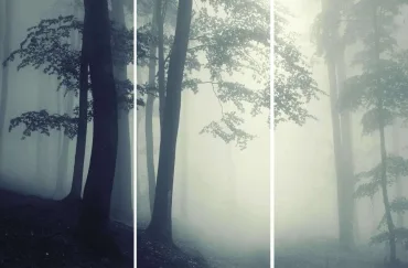 Декоративный элемент FMG Foggy Comp. (3Pcs 300X150) Y4U800D453006 300x450 матовый