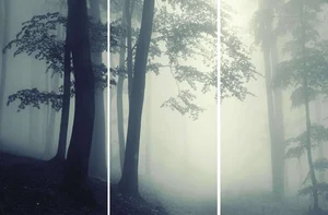 Декоративный элемент FMG Foggy Comp. (3Pcs 300X150) Y4U800D453006 300x450 матовый