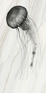 Декоративный элемент FMG Jellyfish (1Pcs 300X150) Y4VR00D301506 150x300 матовый