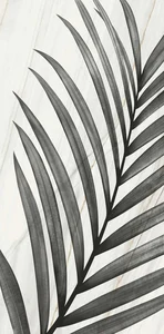 Декоративный элемент FMG Palm (1Pcs 300X150) Y4UW00D301506 150x300 матовый