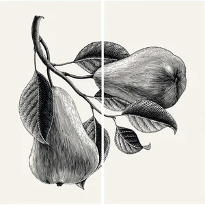 Декоративный элемент FMG Pears Comp. (2Pcs 300X150) Y4VP00D330006 300x300 матовый