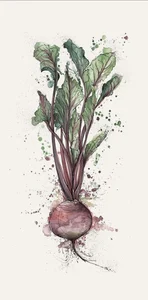 Декоративный элемент FMG Turnip (1Pcs 300X150) Y4VV00D301506 150x300 матовый