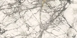Calacatta Grey Luc. L2712485MF6