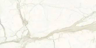Calacatta Luc. SSP3215506G