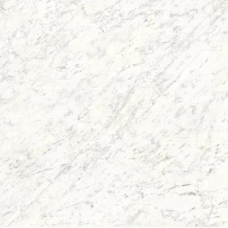 Veined White Luc. L150339MF6