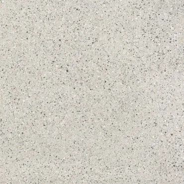 Керамогранит FMG Palladio Certosa Levigato L120527 120x120 полированный