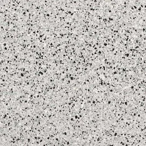 Керамогранит FMG Rialto Silver Levigato L20421 20x20 полированный