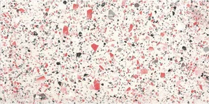 Керамогранит FMG Venice Coral Naturale P62416 60x120 матовый