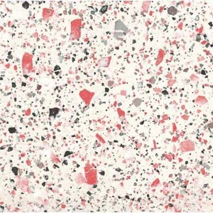 Керамогранит FMG Venice Coral Naturale P66416 60x60 матовый