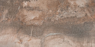 Fossil Brown Lap Ret