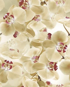 Панно Keros Fresh Multi Beige 40x50 глянцевое