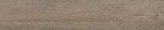 Fuerta Dust