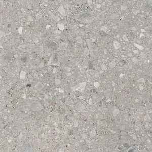 Керамогранит Ariana Futura Cenere Lap. 7013506 60x60 лаппатированный
