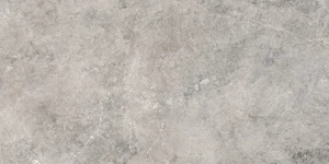 Керамогранит Gardenia Orchidea Origini Crux Grey 73591 60x120 матовый