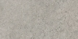 Керамогранит Gardenia Orchidea Origini Gris Royal 73594 60x120 матовый