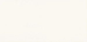 Керамогранит Gardenia Orchidea Slabs Tinta Unita White 64402 160x320 натуральный