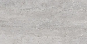 Керамогранит Gaya Fores Palatino Silver 32x63 матовый