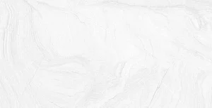 Керамогранит Gaya Fores Varana Blanco 32x62,5 матовый