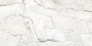 Керамогранит Geotiles Sauvage Pearl Compacglass 60x120 натуральный