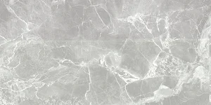 Керамогранит Global Tile 6260-0213 Гордость / Pride Серый 30x60 матовый