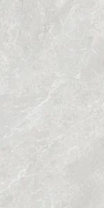 Керамогранит Global Tile GT1206029401MDR Шелк Серый 60x120 матовый