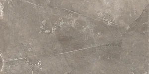 Плитка Global Tile GT122VG Силуэт / Siluet Кор. 25x50 глянцевая