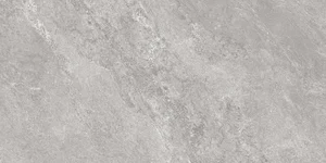 Керамогранит Global Tile GT5010027401MCR Виталити Серый 50x100 матовый