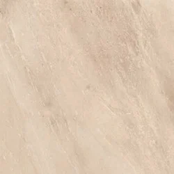 Керамогранит Imola Genus GNSG 60B RM 60x60 натуральный
