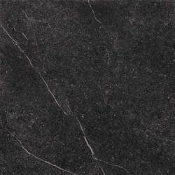 Керамогранит Imola Genus GNSG 60N RM 60x60 натуральный