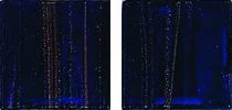 Мозаика JNJ Mosaic Gold Link GC 61 20x20 глянцевая
