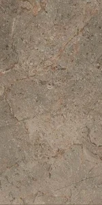 Керамогранит Supergres Gotha Bronze Lux GBL3 29,5x59 лаппатированный