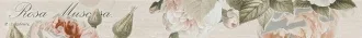 Garden Rose Beige 01
