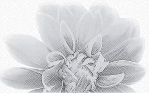 Gracia Ceramica Камелия Чер Декор 03 25x40 матовый