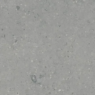 G213-Arkaim Grey Matt.