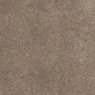 G214-Arkaim Brown Matt.