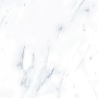 G283-Payer Grey Polished