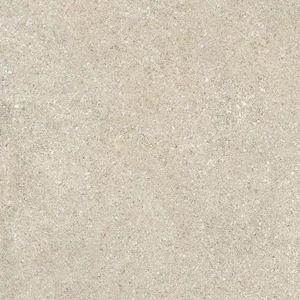 Керамогранит Grasaro Granito G-1151/MR 60x60 матовый