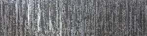 Декоративный элемент Ibero Gravity Space Dark 30x120 полированный