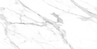 CA-054 Glossy Endless ROL83974