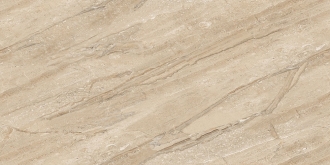 Roman Dyna Beige Glossy Endless ROL83981
