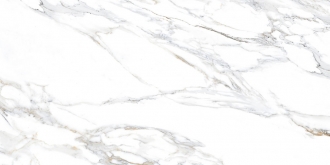 Jayden Bianco Infinia Polished ITL84084