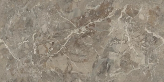Breccia Boreale Brown Infinia Sugar Carving IT ITL84071