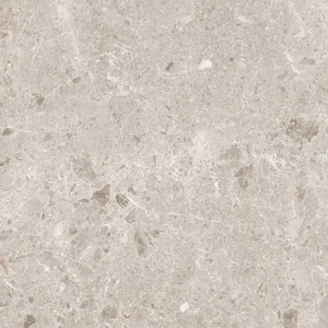 Керамогранит Grespania Artic Beige Natural 82RC75R 60x60 матовый