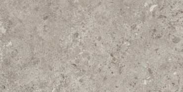 Керамогранит Grespania Bierzo Gris 44BZP39 60x120 матовый