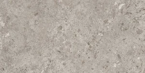 Керамогранит Grespania Bierzo Gris 44BZP39 60x120 матовый