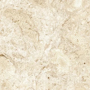 Керамогранит Grespania Coralina Blanco 120x120 матовый