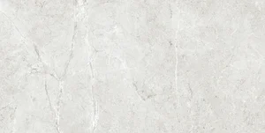 Керамогранит Grespania 44P139R Palermo Gris 60x120 Rec матовый